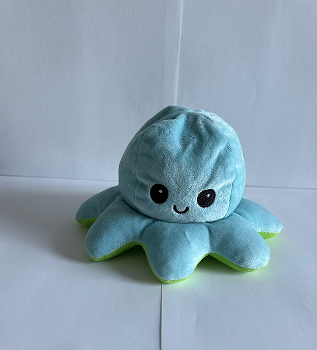 Front view of my third complex object, a plush octopus.
