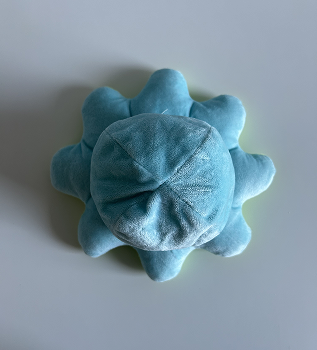 Top view of my third complex object, a plush octopus.