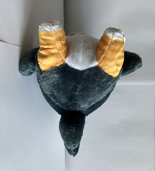Underside of my second complex object, a cat in a shark costume plush.