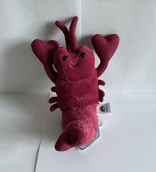 For my third complex object, I selected a new object. The bottom of my second complex object from Activity 1 would have been too complex. This is the front view of my new third complex object, a lobster plush.